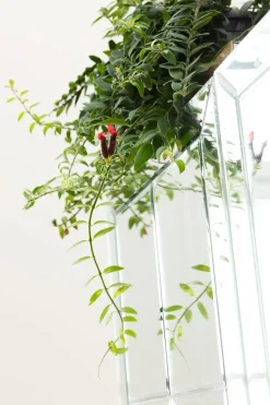 Barskåp Luxury - Spegelglas - KARE Design