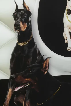 Glastavla Doberman Bodyguards 60x80cm - KARE Design