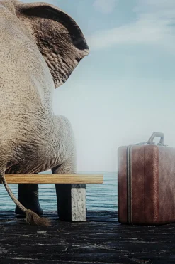 Glastavla Elephant Journey - Elefant, 60x40cm - KARE Design