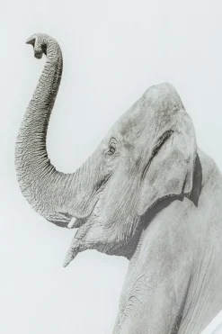 Glastavla Elephant Shower, 60x80cm - KARE Design