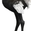Golvlampa Animal Ostrich, 147cm - KARE Design