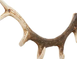 Hängare Antler - Horn, Natur, Lackerat Stål, 35cm - KARE Design