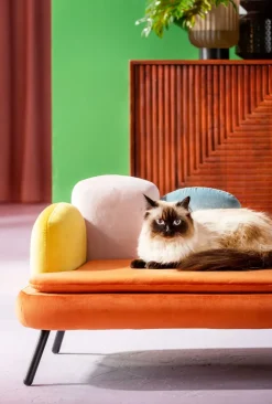 Hundbädd/Kattbädd Diva - Orange - KARE Design