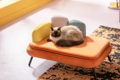 Hundbädd/Kattbädd Diva - Orange - KARE Design