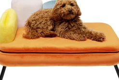 Hundbädd/Kattbädd Diva - Orange - KARE Design