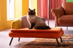 Hundbädd/Kattbädd Diva - Orange - KARE Design