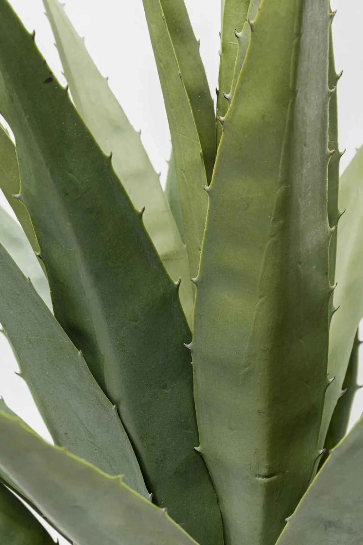Konstväxt Agave - 85cm - KARE Design