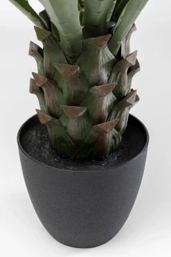 Konstväxt Agave - 85cm - KARE Design