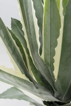 Konstväxt Agave - 50cm - KARE Design