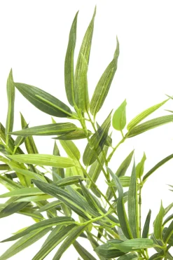 Konstväxt Bamboo Tree - Bambuträd, 200cm - KARE Design