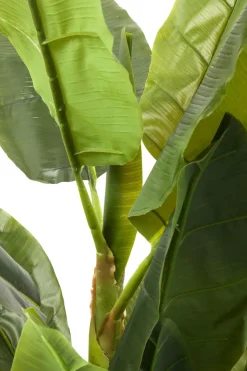 Konstväxt Banana Tree - Bananträd, 180cm - KARE Design