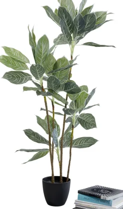 Konstväxt Calathea - Kalatea, 140cm - KARE Design