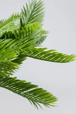 Konstväxt Cycas - 70cm - KARE Design
