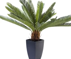 Konstväxt Cycas Träd, 78cm - KARE Design