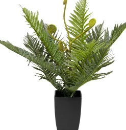 Konstväxt Farn - Ormbunke, 55cm - KARE Design