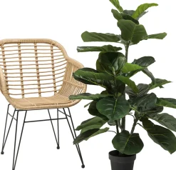 Konstväxt Fiddle Leaf - Fikus, 120cm - KARE Design