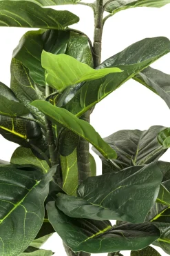 Konstväxt Fiddle Leaf - Fikus, 120cm - KARE Design