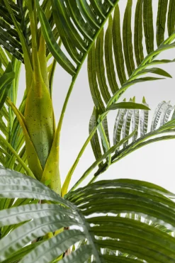 Konstväxt Palm Träd, 190cm - KARE Design