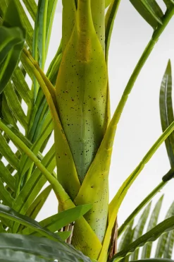 Konstväxt Palm Träd, 190cm - KARE Design