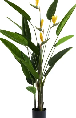 Konstväxt Paradise Flowers - Paradisets Fågelblomma, 190cm - KARE Design