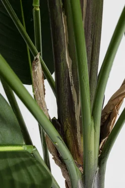 Konstväxt Paradise Flowers - Paradisets Fågelblomma, 190cm - KARE Design