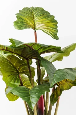 Konstväxt Rainforest, 160cm - KARE Design
