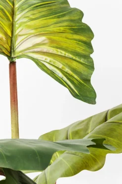 Konstväxt Rainforest, 160cm - KARE Design