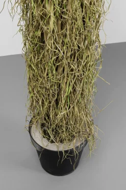 Konstväxt Yucca - 180cm - KARE Design