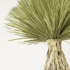 Kostväxt Yucca Rostrata, 240cm - KARE Design