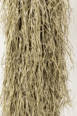Kostväxt Yucca Rostrata, 240cm - KARE Design