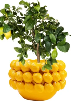 Kruka Lemon Juice - Dekor Citron, 22cm - KARE Design