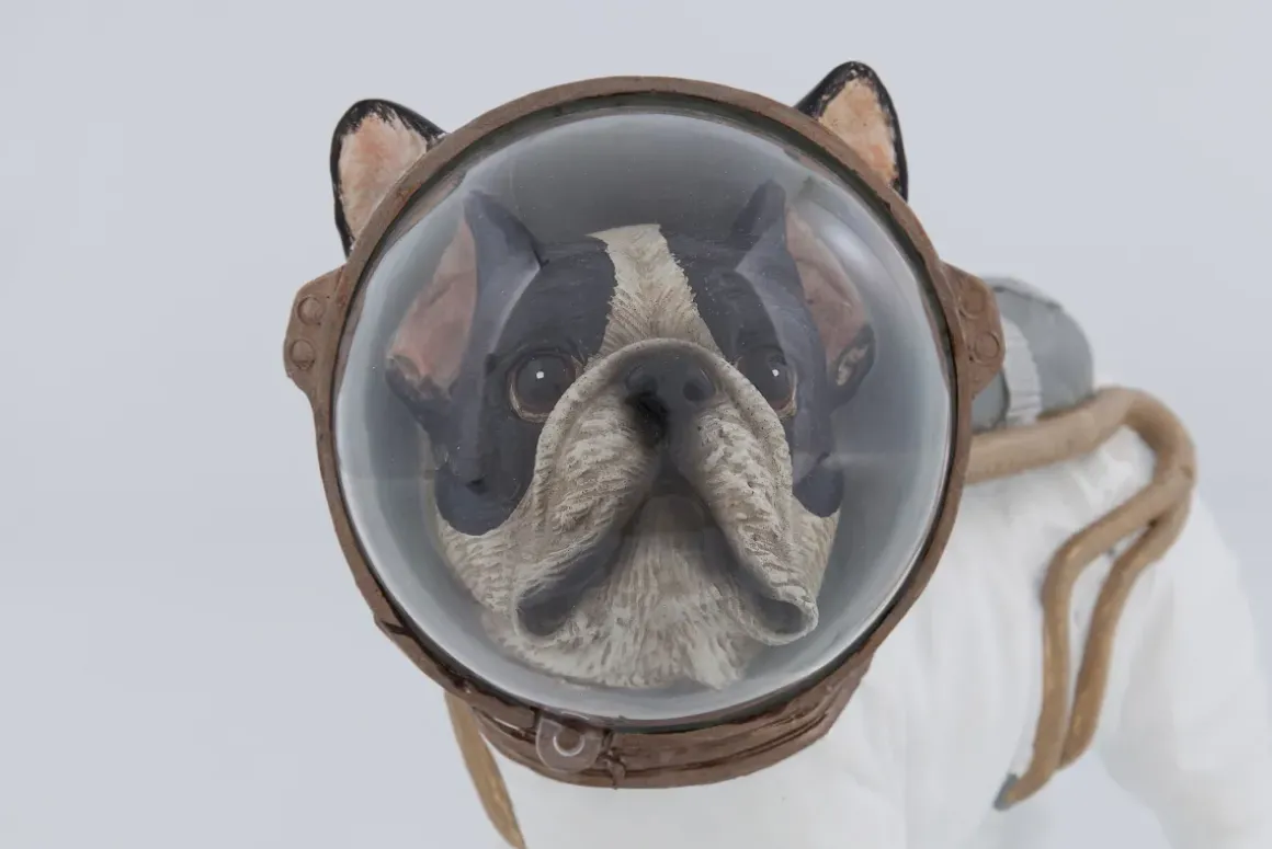 Skulptur Space Dog - Dekorfigur Hund, 21cm - KARE Design