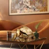 Skulptur Turtle - Dekor Sköldpadda Guld, 60cm - KARE Design