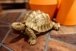 Skulptur Turtle - Dekor Sköldpadda Guld, 26cm - KARE Design
