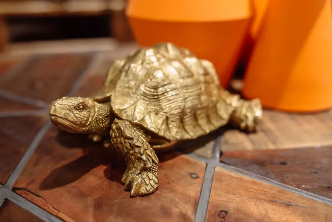 Skulptur Turtle - Dekor Sköldpadda Guld, 26cm - KARE Design