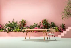 Stol Rosal - Cream - KARE Design