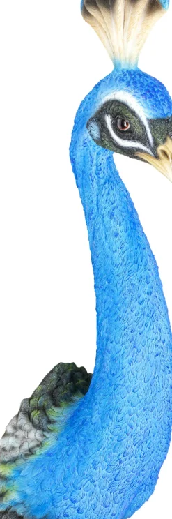 Väggdekoration Peacock - KARE Design