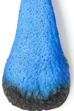 Väggdekoration Peacock - KARE Design