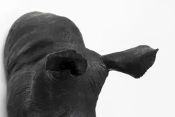 Väggdekor Rhino Trofé - KARE Design